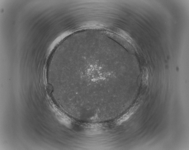 X0000067871030200604171219