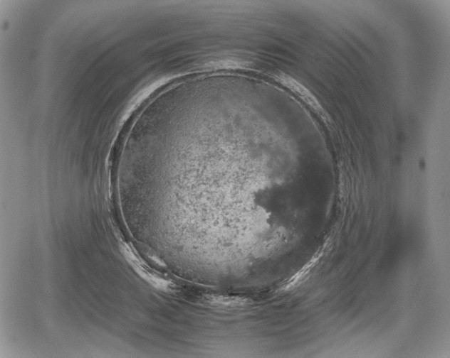 X0000067871031200604171219