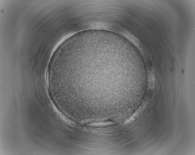 X0000067871032200604171219