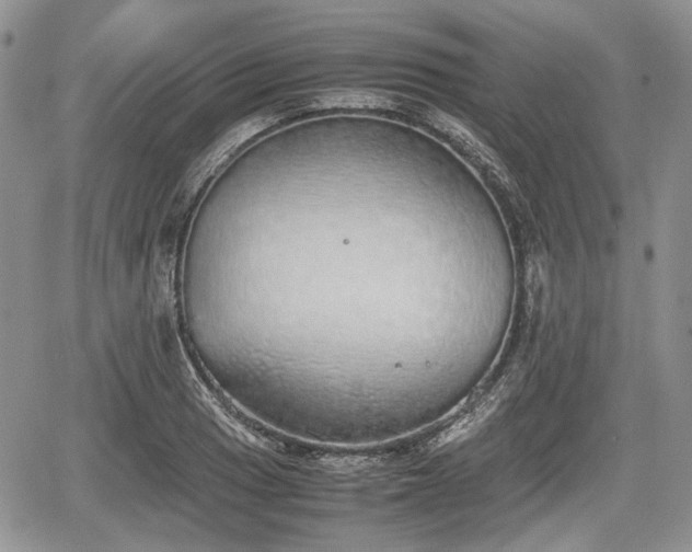 X0000067871033200604171219