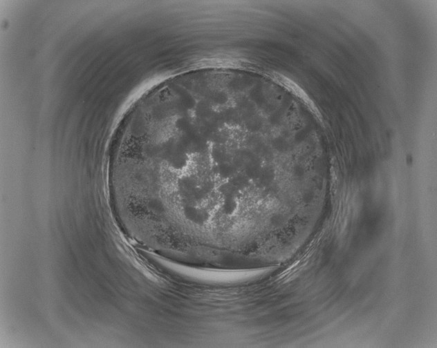 X0000067871035200604171219