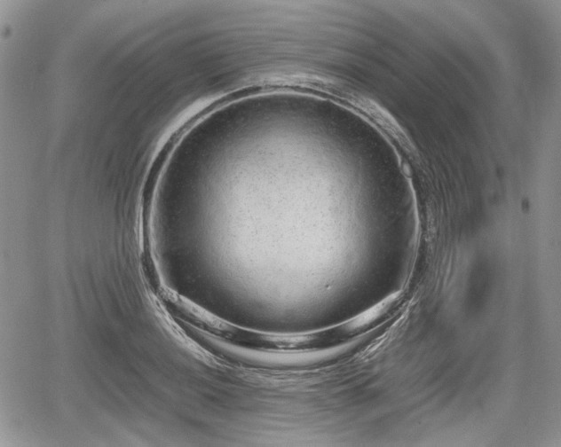 X0000067871036200604171219