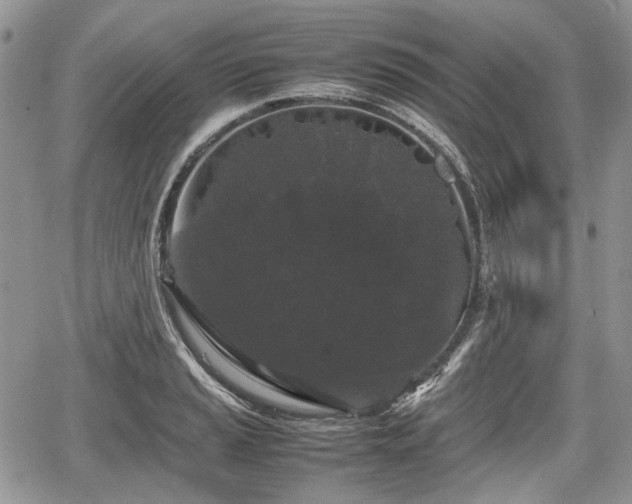 X0000067871037200604171219