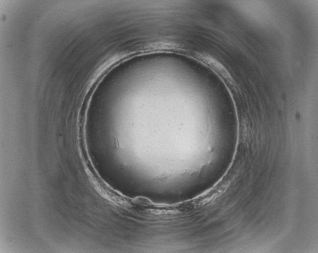 X0000067871039200604171219