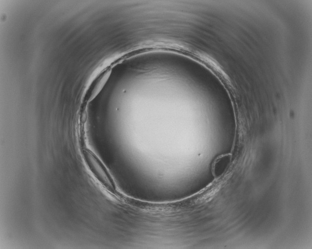 X0000067871040200604171219