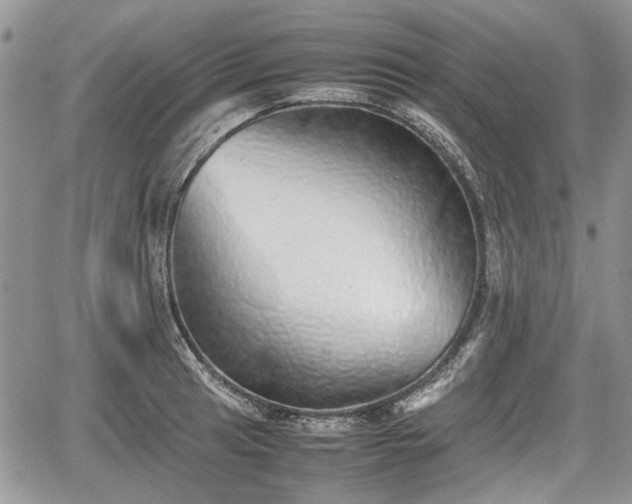 X0000067871041200604171219