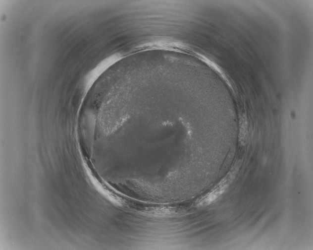 X0000067871042200604171219