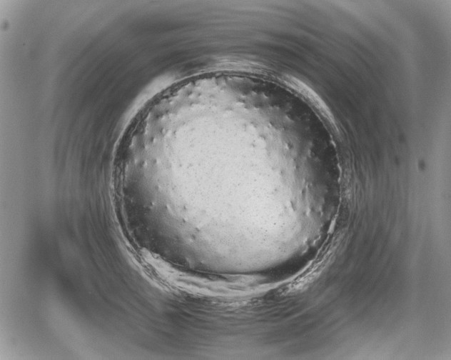 X0000067871043200604171219