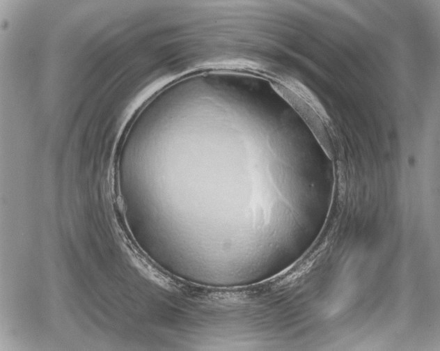 X0000067871044200604171219