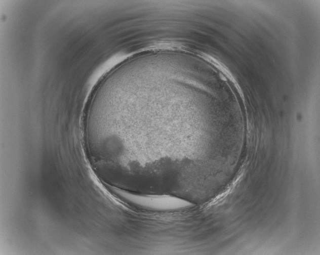 X0000067871045200604171219