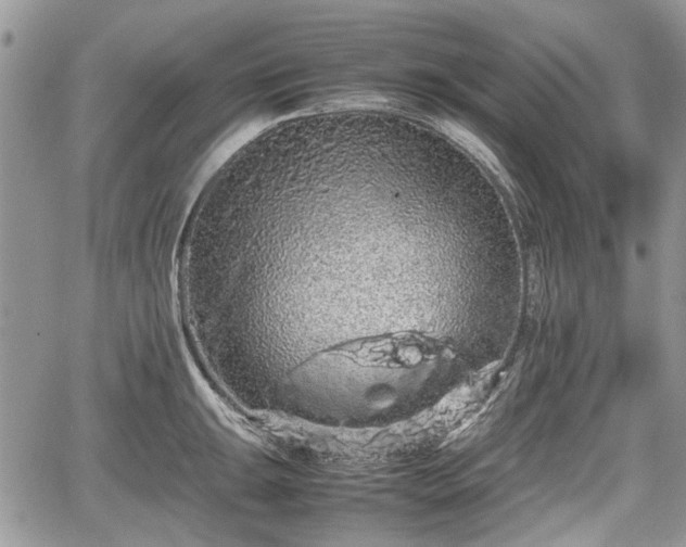 X0000067871047200604171219