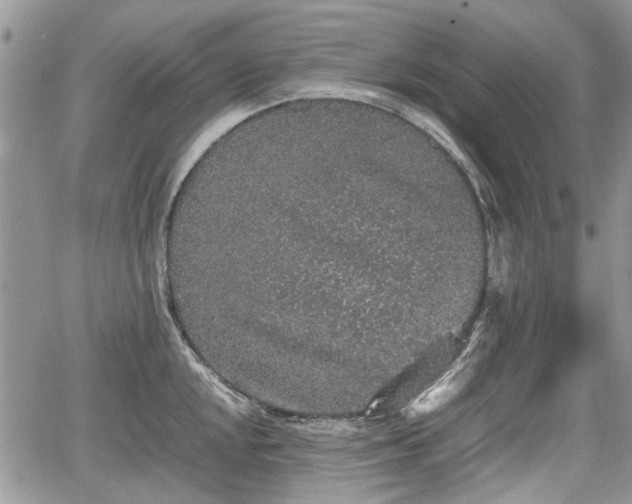 X0000067871048200604171219