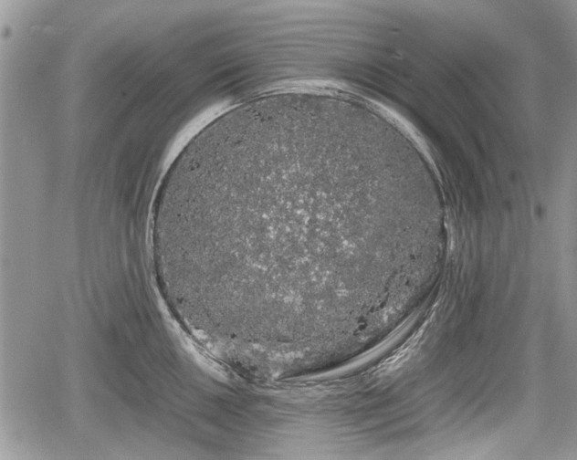 X0000067871050200604171219