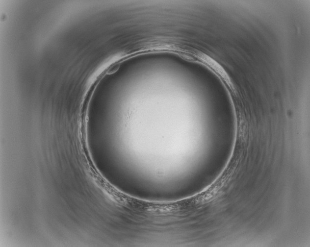 X0000067871051200604171219