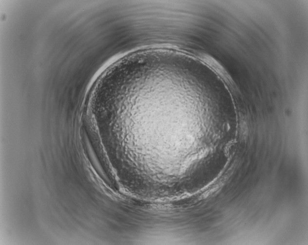 X0000067871052200604171219