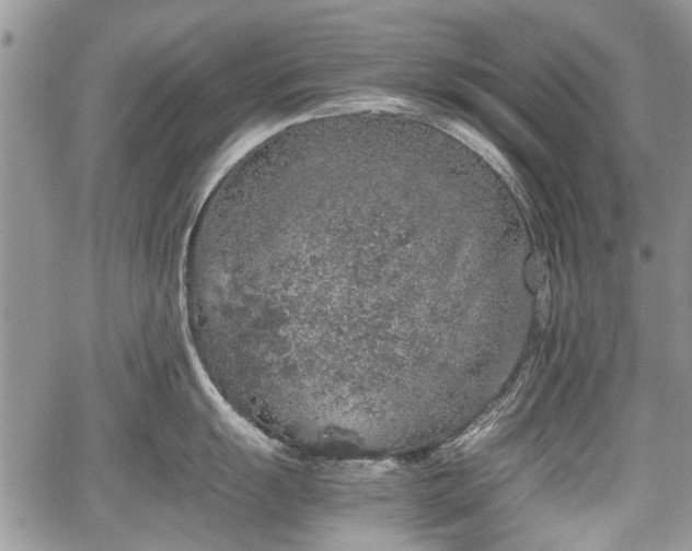 X0000067871055200604171219