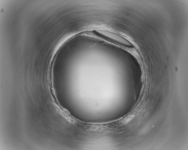 X0000067871056200604171219