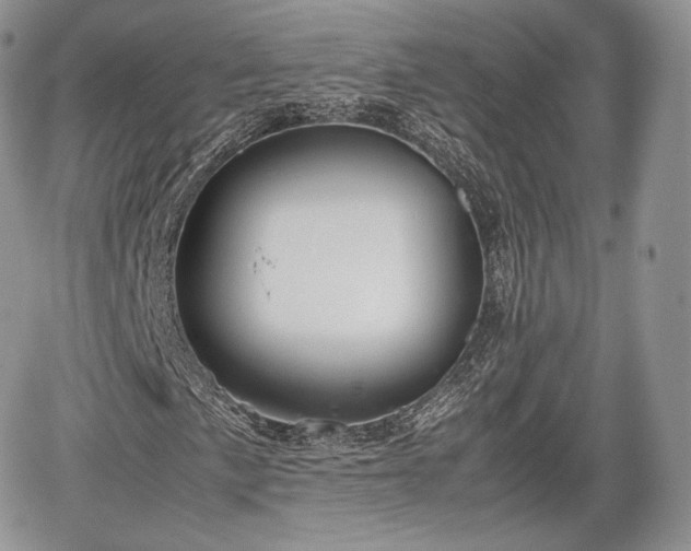 X0000067871057200604171218