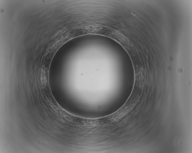 X0000067871058200604171218