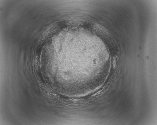 X0000067871059200604171218