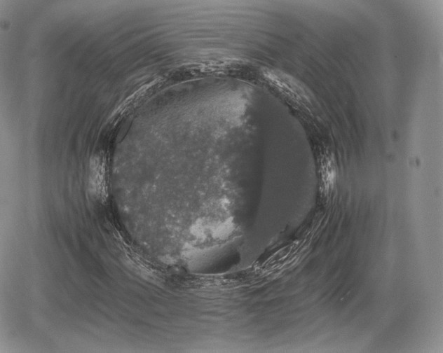 X0000067871060200604171218