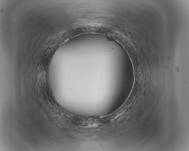 X0000067871061200604171218