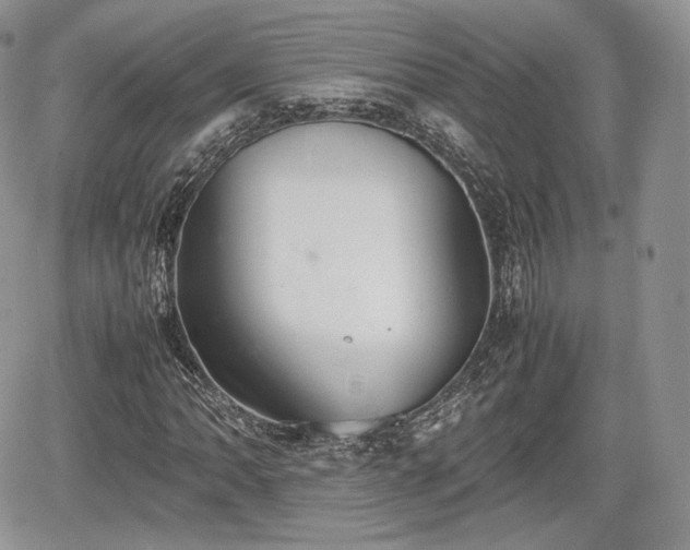 X0000067871062200604171218