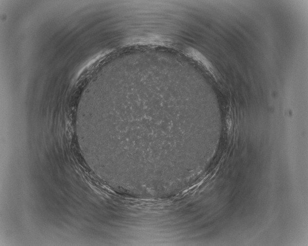 X0000067871064200604171218