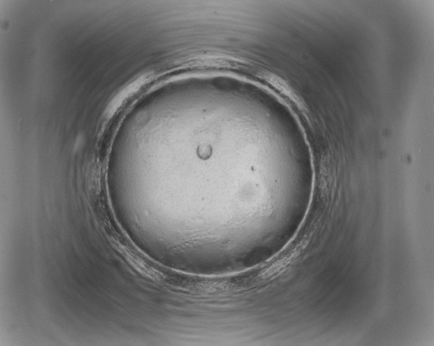 X0000067871067200604171218