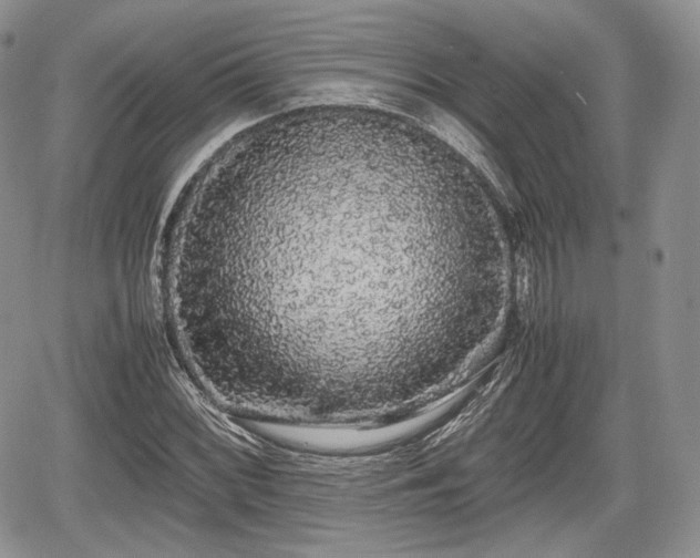 X0000067871068200604171218