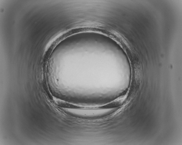 X0000067871069200604171218