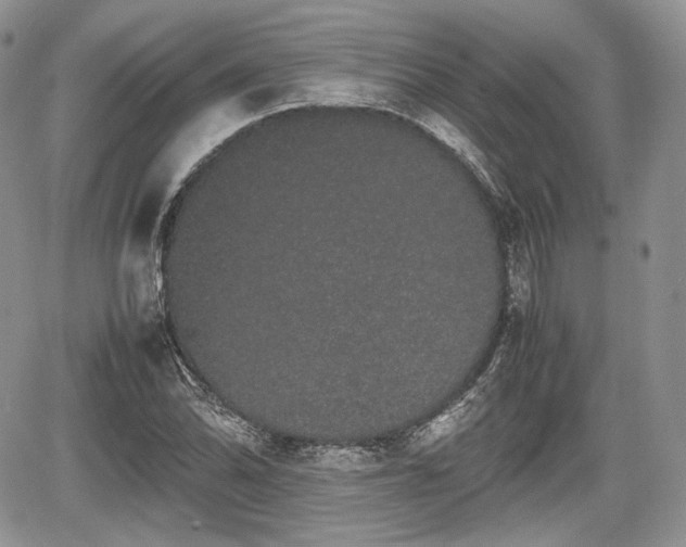 X0000067871070200604171218