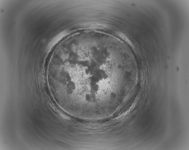 X0000067871071200604171218