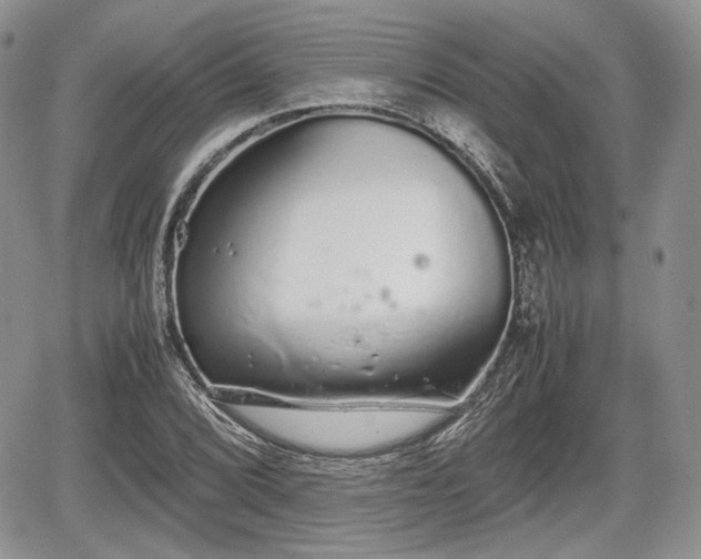 X0000067871072200604171218