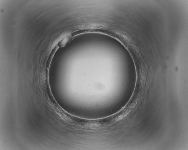 X0000067871073200604171218