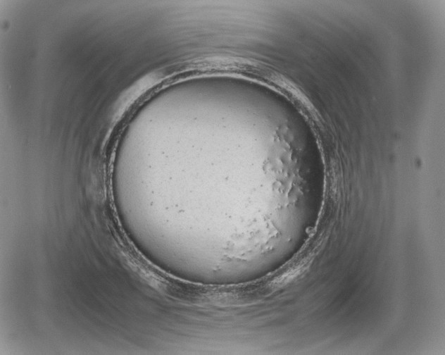 X0000067871075200604171218