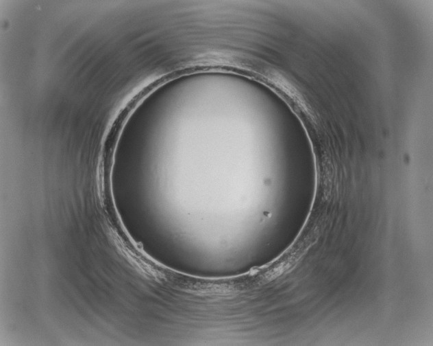 X0000067871076200604171218