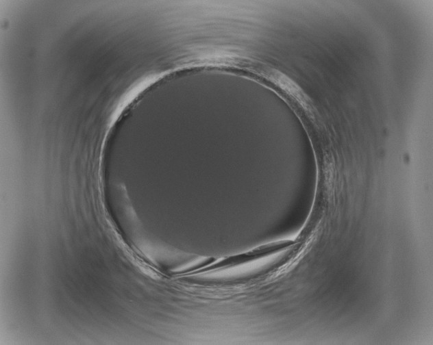 X0000067871077200604171218