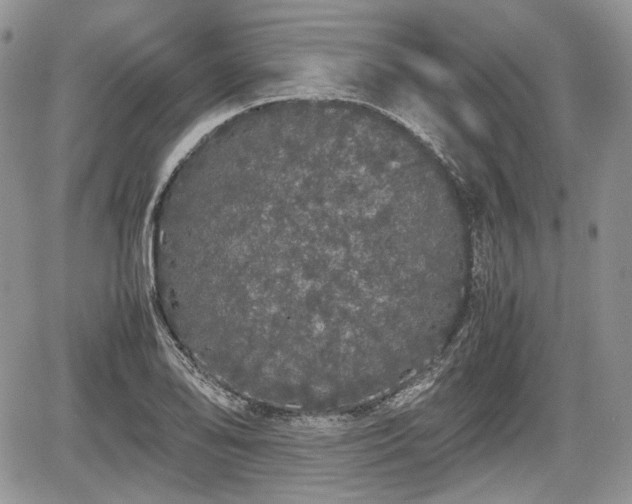 X0000067871078200604171218