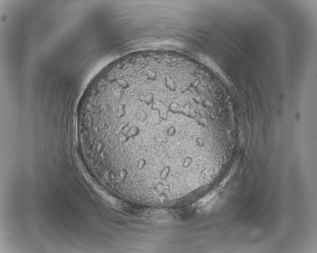 X0000067871079200604171218