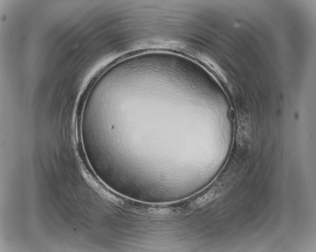 X0000067871080200604171218