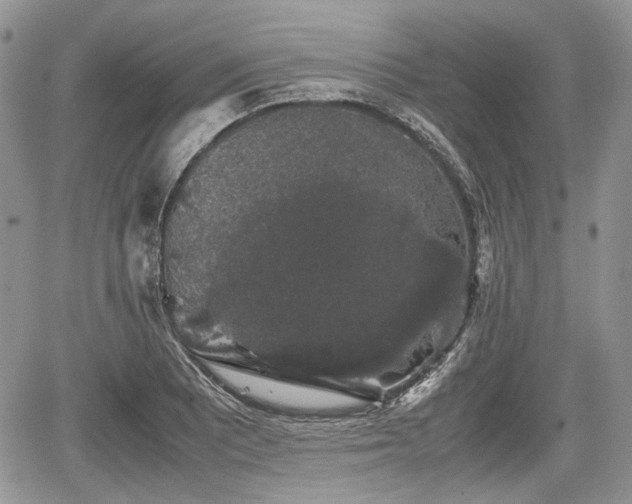 X0000067871081200604171218