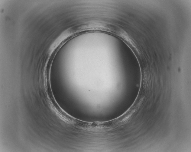 X0000067871082200604171218