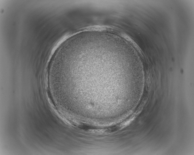 X0000067871083200604171218