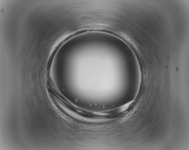 X0000067871085200604171218