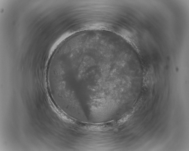 X0000067871086200604171218