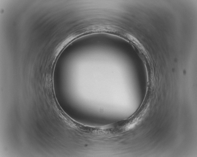 X0000067871089200604171218