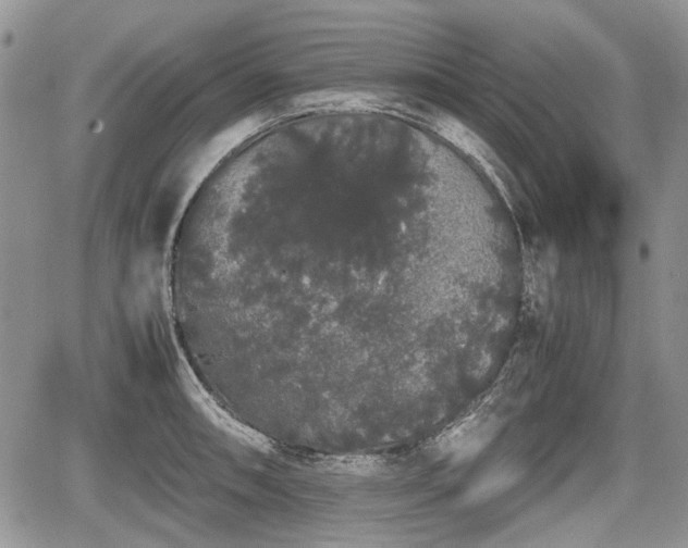 X0000067871090200604171218