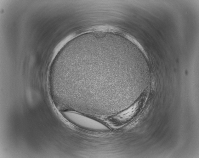 X0000067871091200604171218