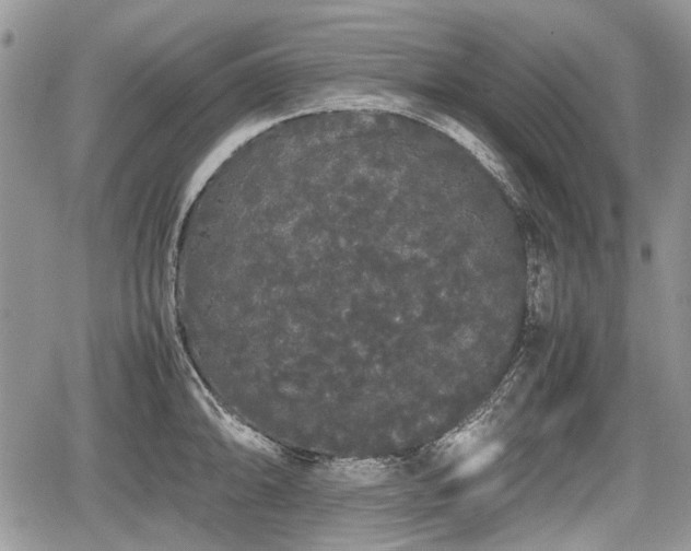 X0000067871094200604171218